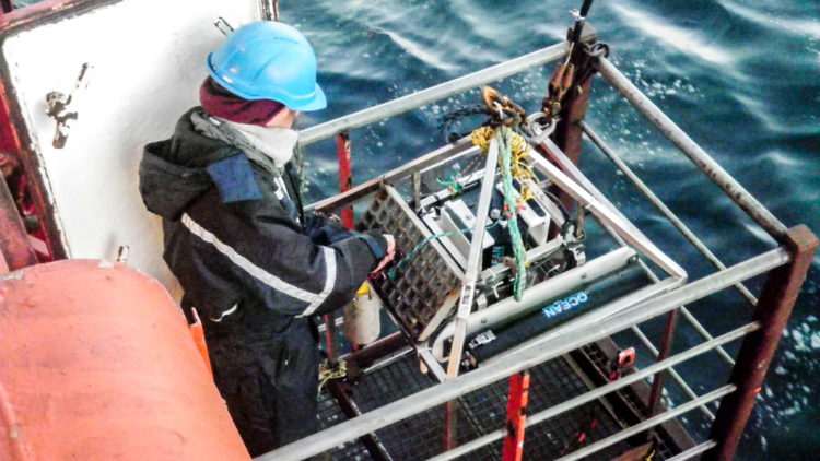 Mona deploys the underwater camera to take a picture from the seafloor. It is lowered from the side of the ship.