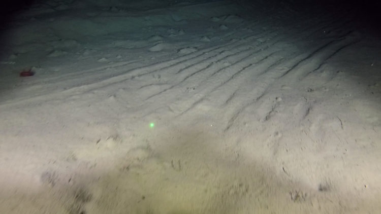 Fresh-marks-on-the-seafloor-from-a-trawl,-West-Greenland
